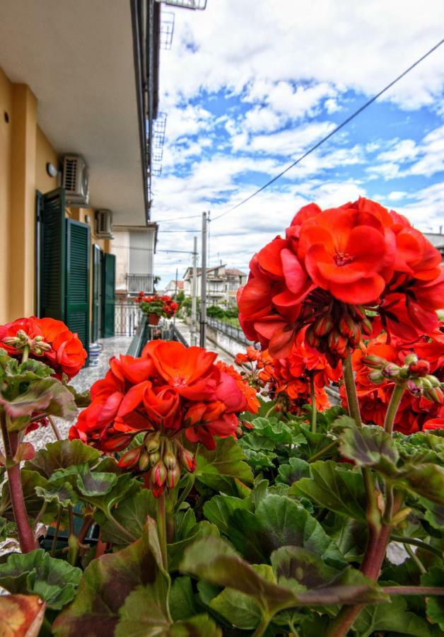 B&B Grazia Capua Eksteriør bilde