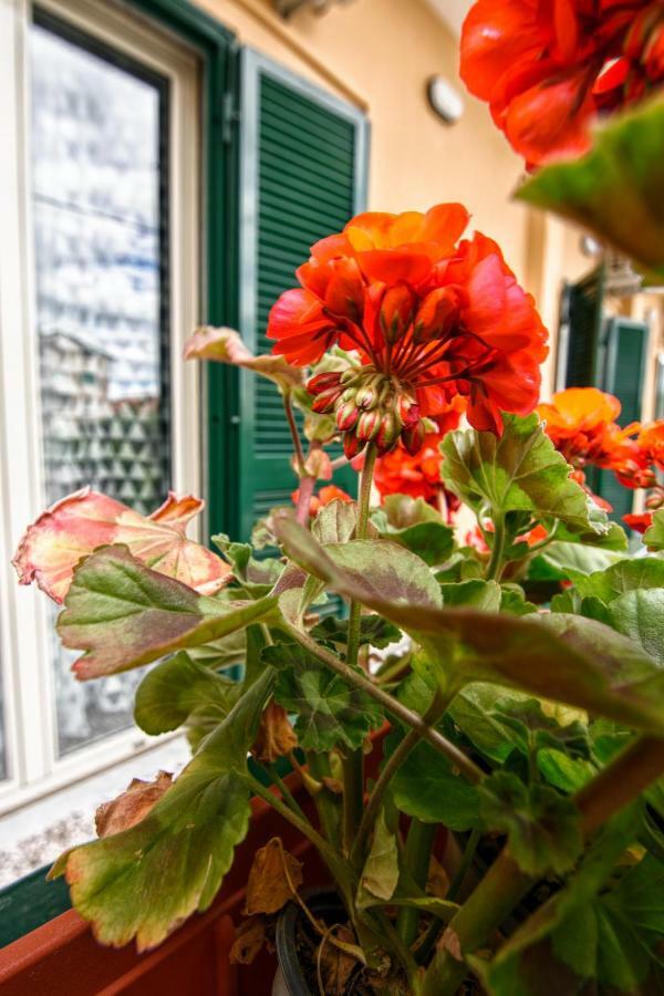 B&B Grazia Capua Eksteriør bilde